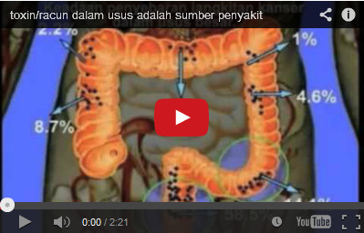video-Toxin-sumber-penyakit-detox-dengan-Obat-Diet-Herbal-fiforlif-Jakarta-selatan